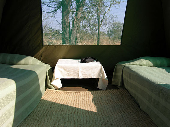 WildernessInterior