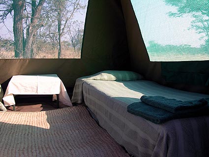interior1wild