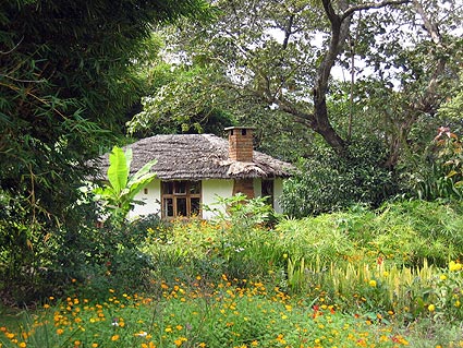 bungalow