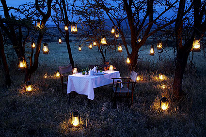 Bush-dinner